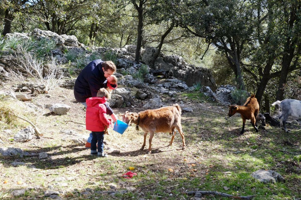 Вілла Agroturismo Son Alzines Ллук Екстер'єр фото