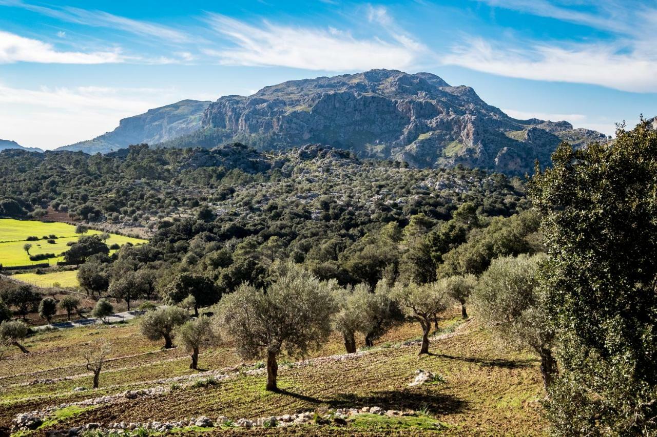 Вілла Agroturismo Son Alzines Ллук Екстер'єр фото