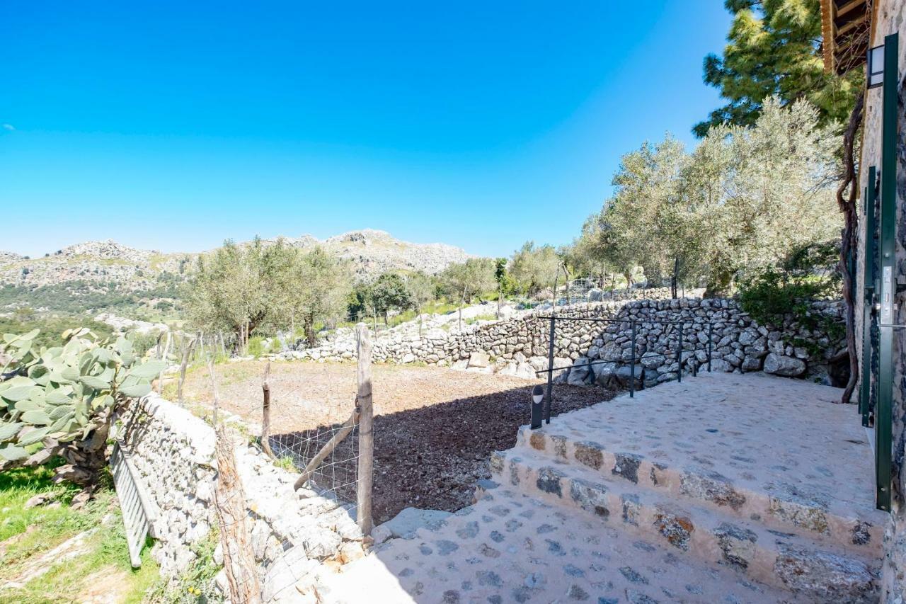 Agroturismo Son Alzines Ллук Екстер'єр фото